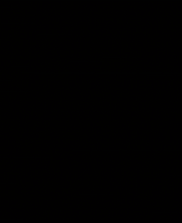 Action Sports Skate GIF by Nitro Circus