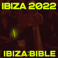 theibizabible ibiza boris ibizabible theibizabible GIF
