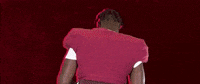 Football Roll Pards GIF by Lafayette Leopards