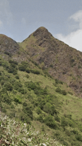 Simongip giphyupload GIF