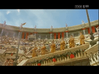 GIF by TVP.PL