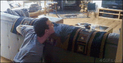 cat slap GIF