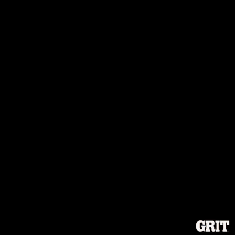 In Love Kiss GIF by GritTV