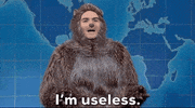 Snl GIF by Saturday Night Live