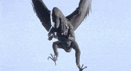 creature feature horror GIF by Shudder
