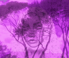 More Than Words Lm5 GIF by Little Mix