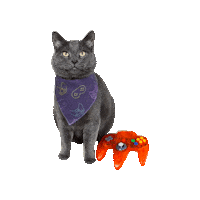 Video Games Gamer Sticker by Geekster Pets