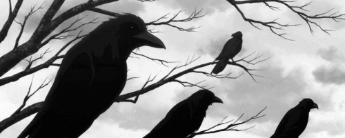 dark ravens GIF