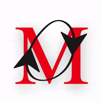 MogianaExpress express mogiana mogiana express GIF