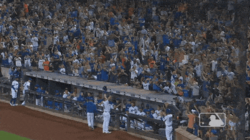 Celebrate Ny Mets GIF by New York Mets