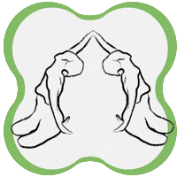 Pilates Mindbody GIF by eloessi