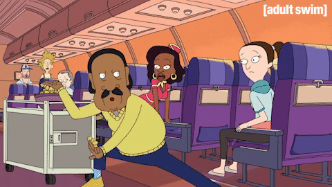 Season 1 Airplane GIF by Rick and Morty
