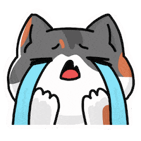 Chat Sticker