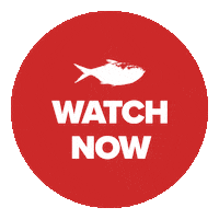 Watch Now New Video Sticker by redfishstream