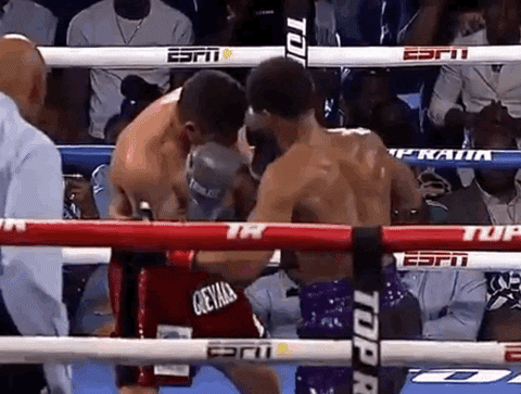 toprank giphyupload fight boxing fighting GIF