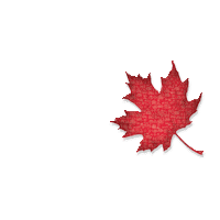 Real Estate Realtor Sticker by Sutton Group