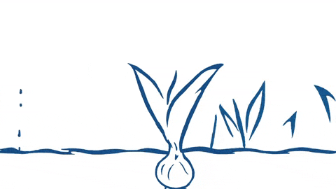 lucasflaton giphyupload GIF