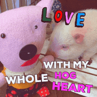 WandaPetunia love heart hog whole hog GIF