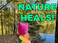 WandaPetunia nature earth outdoors healing GIF