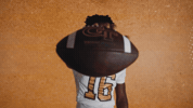 Georgia Tech Football GIF by Georgia Tech Yellow Jackets