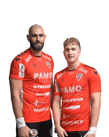 Handball Aargau Sticker by HSC Suhr Aarau