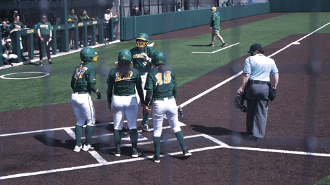 North Dakota State Softball GIF by NDSU Athletics