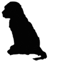 FurryGoodiez mosey kwispel furrygoodiez furrygoodies Sticker