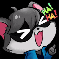 rakunboy02 laugh risa mapache rakun GIF