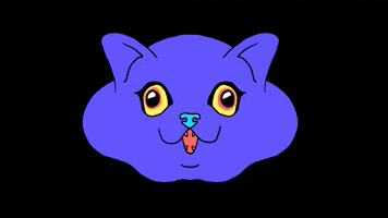 Evil Cat