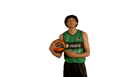Liga Endesa Basketball Sticker by ACB