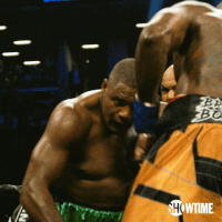 sport boxing GIF by SHOWTIME Sports