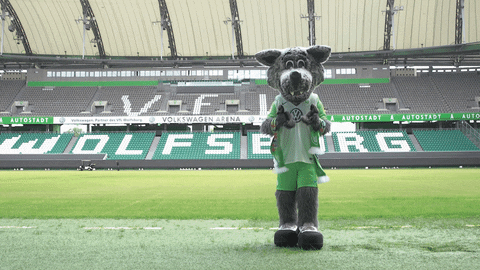 happy france GIF by VfL Wolfsburg