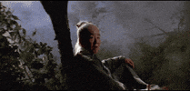 martial arts the perils of the sentimental swordsman GIF by Shaw Brothers