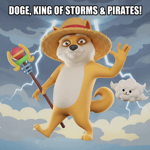 Waving One Piece GIF by Doge Pound