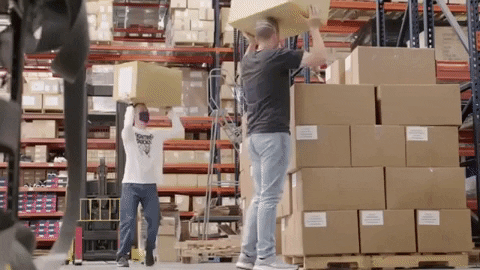 Sport Ufc Embedded GIF by UFC