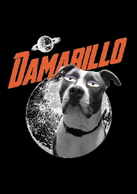 fitkafa damar fitkafa GIF