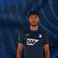 Sport Bundesliga GIF by TSG Hoffenheim