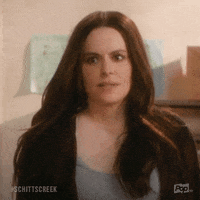 Pop Tv What GIF by Schitt's Creek