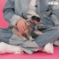 Curl Up K Pop GIF by BuzzFeed