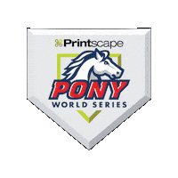 Plws Sticker by PONY World Series