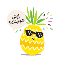 Hobby Sticker by Suplift
