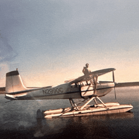 pilotericweaver giphygifmaker giphyattribution GIF