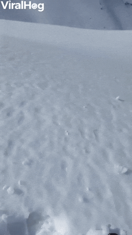 Snow Snowball GIF by ViralHog