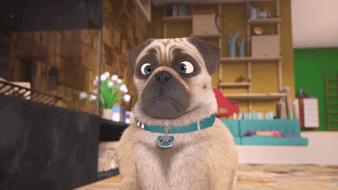 Dog Hello GIF by MightyMike