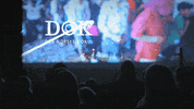 hivolda hvo volda hivolda høgskule GIF