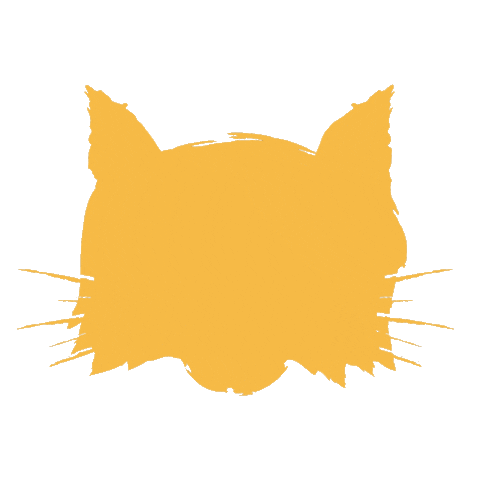 College Roar Sticker by Quinnipiac University