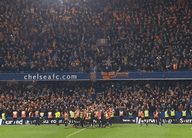 Celebration Fans GIF by Bradford City AFC