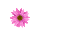 Sold Sticker by Berkshire Hathaway HomeServices Ambassador Real Estate