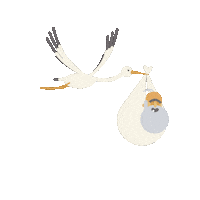 joselorensso flying paris birth ralph Sticker
