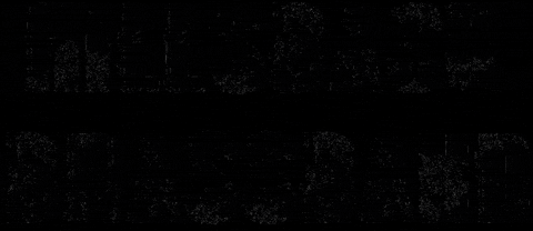 Utrecht GIF by Gymnasium Novum